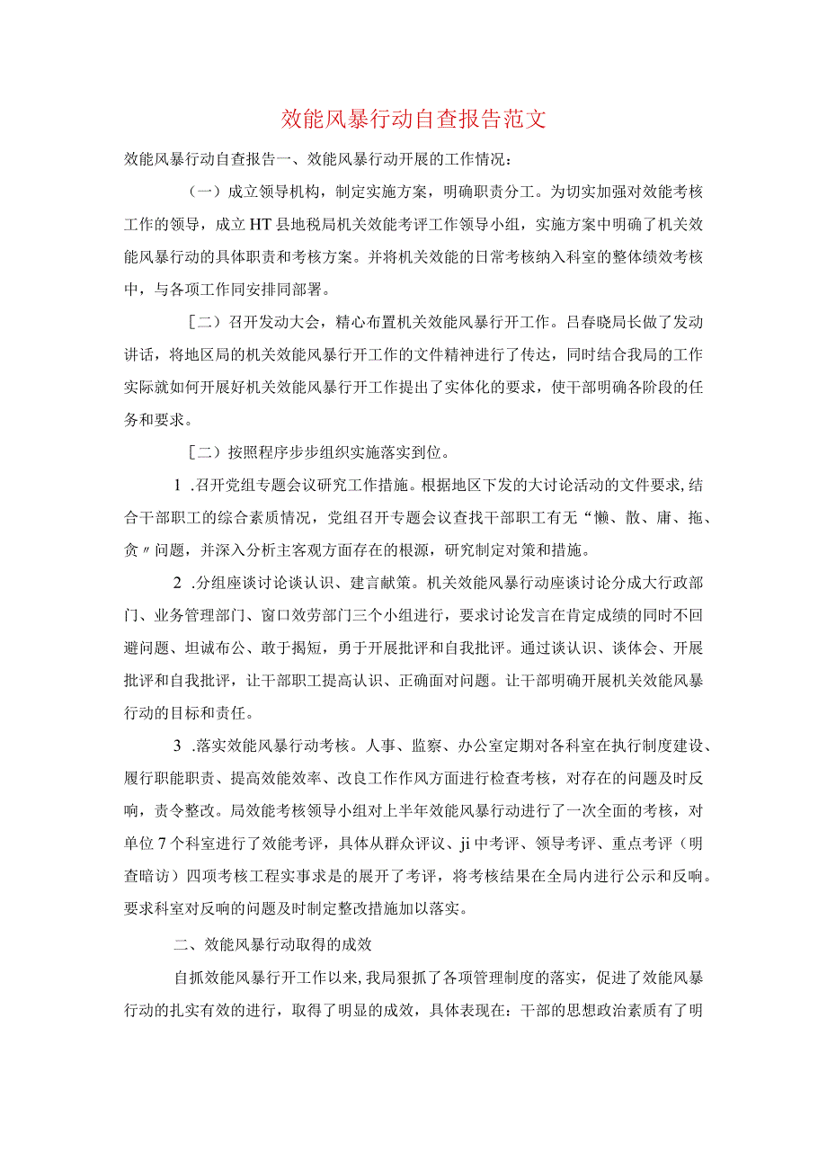 效能风暴行动自查报告范文.docx_第1页