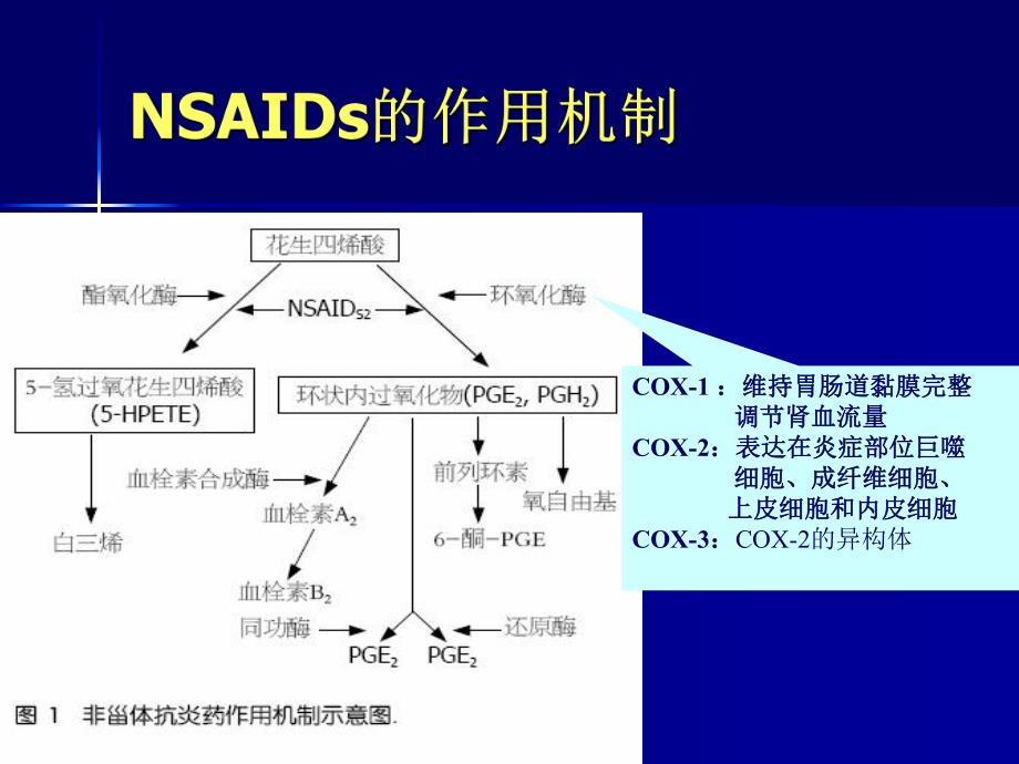 非甾体抗炎药的胃肠道损伤.ppt_第3页