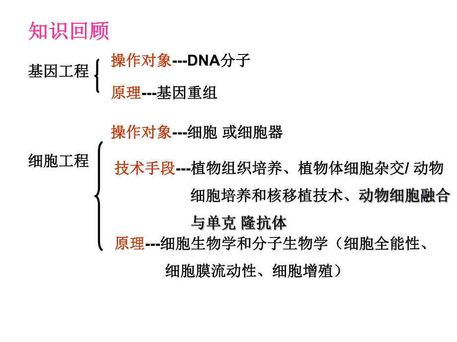 3.1体内受精和早期胚胎发育.ppt_第1页