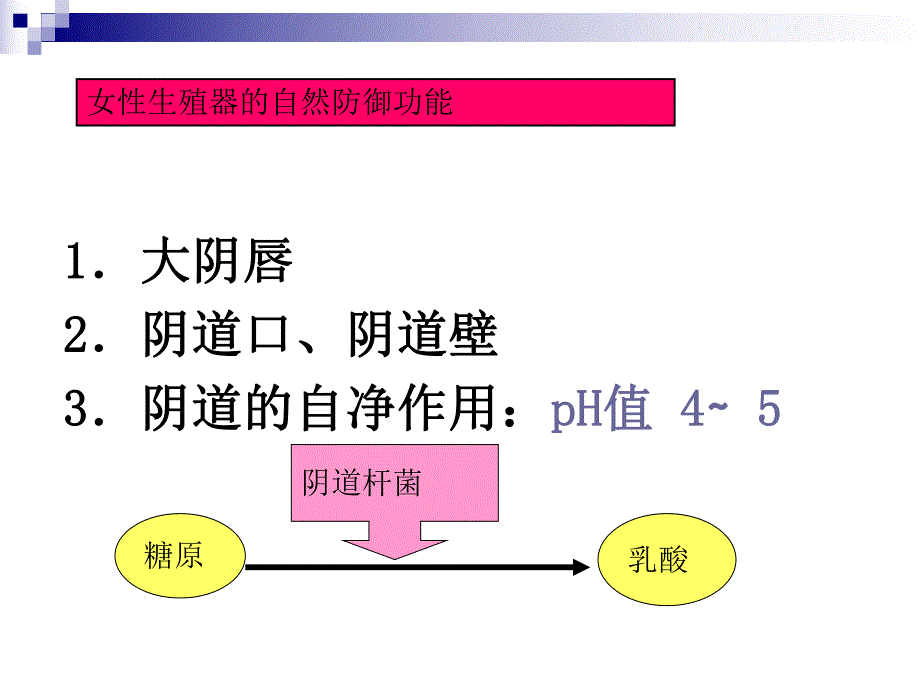 妇科炎症[最新].ppt_第3页