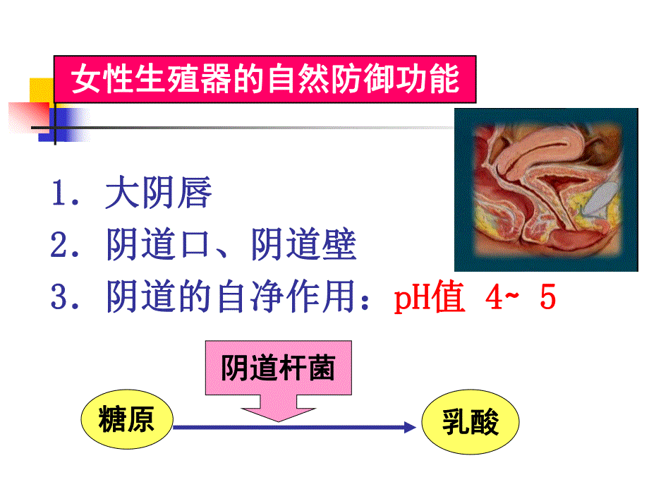 常见妇科病的保健与护理.ppt_第3页