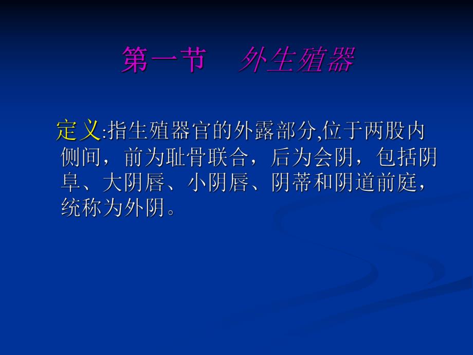 女性生殖系统解剖.ppt_第3页