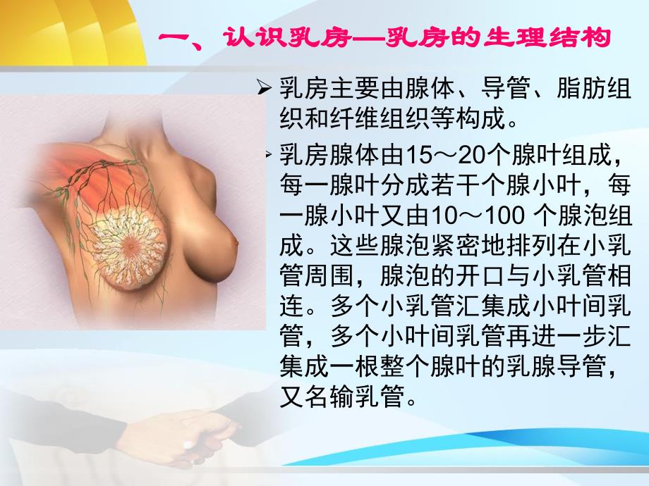 乳腺.ppt.ppt_第1页