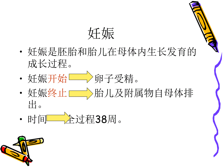 医学妊娠生理变化ppt.ppt_第2页