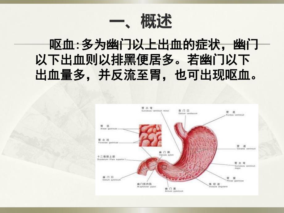 上消化道出血.ppt_第2页