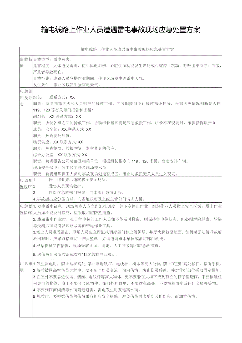 输电线路上作业人员遭遇雷电事故现场应急处置方案.docx_第1页