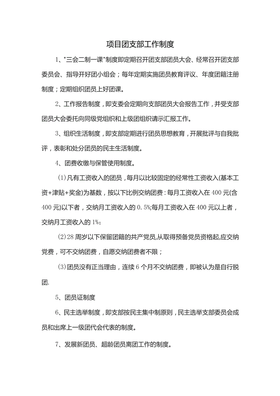 项目团支部工作制度.docx_第1页