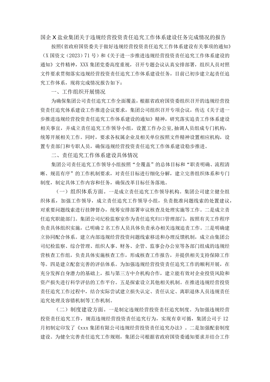 国企X盐业集团关于违规经营投资责任追究工作体系建设任务完成情况的报告.docx_第1页