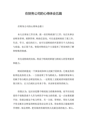 在财务公司的心得体会五篇.docx