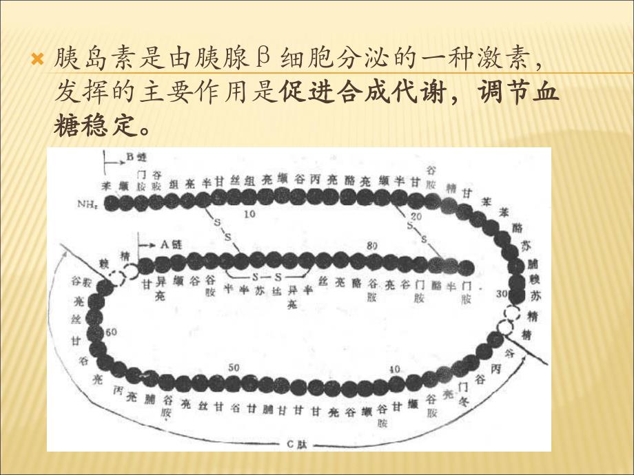 糖尿病的胰岛素治疗及最新治疗.ppt_第3页