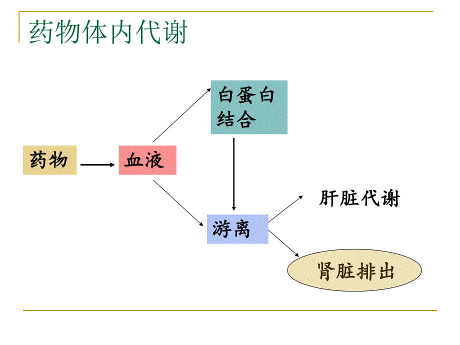 肾内科——肾功能不全的抗菌药物选择.ppt_第2页