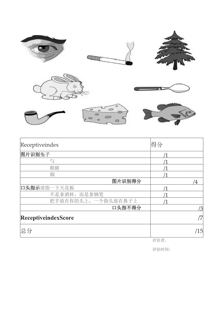 言语吞咽诊疗中心床边失语症筛查量表.docx_第2页