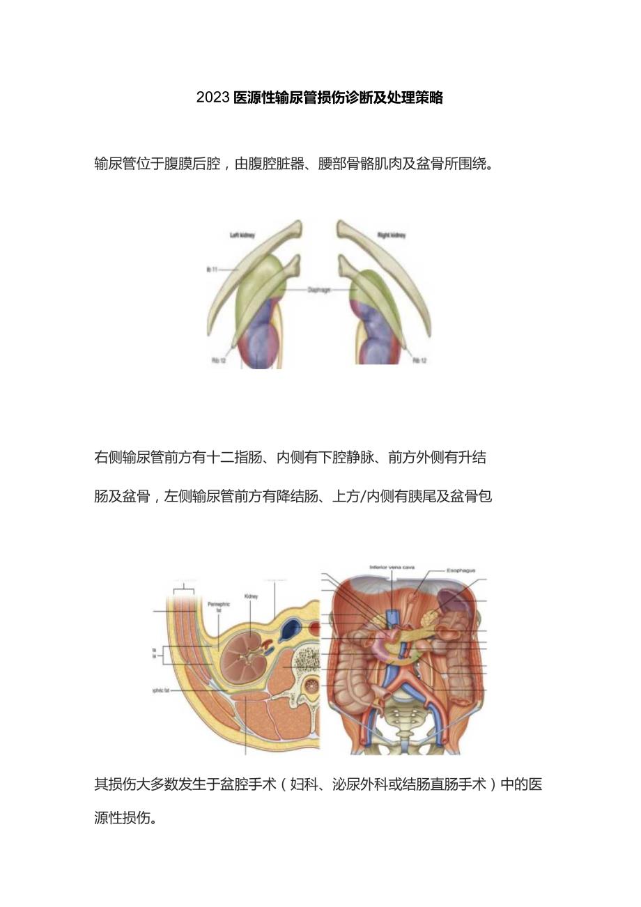 2023医源性输尿管损伤诊断及处理策略.docx_第1页