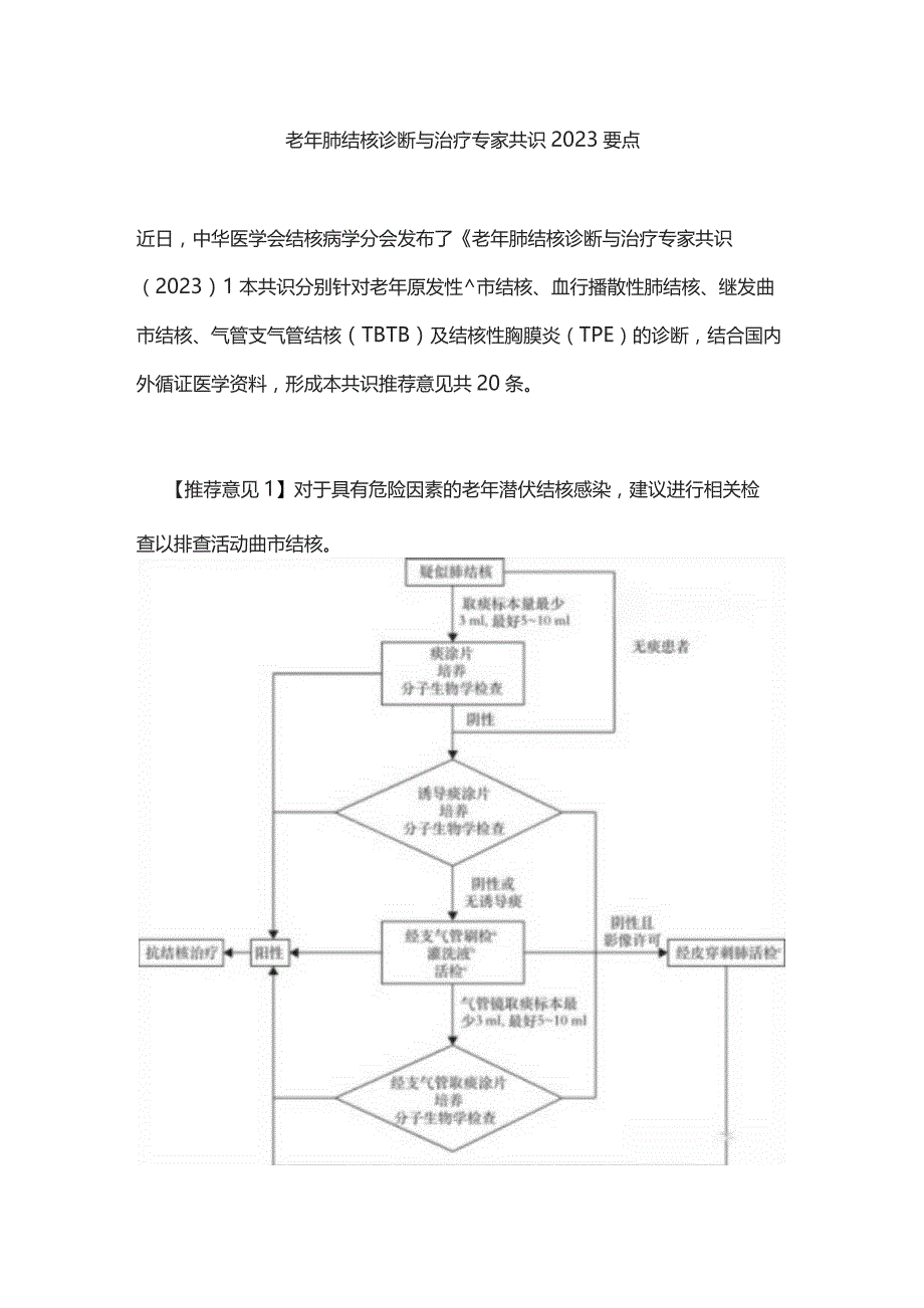 老年肺结核诊断与治疗专家共识2023要点.docx_第1页