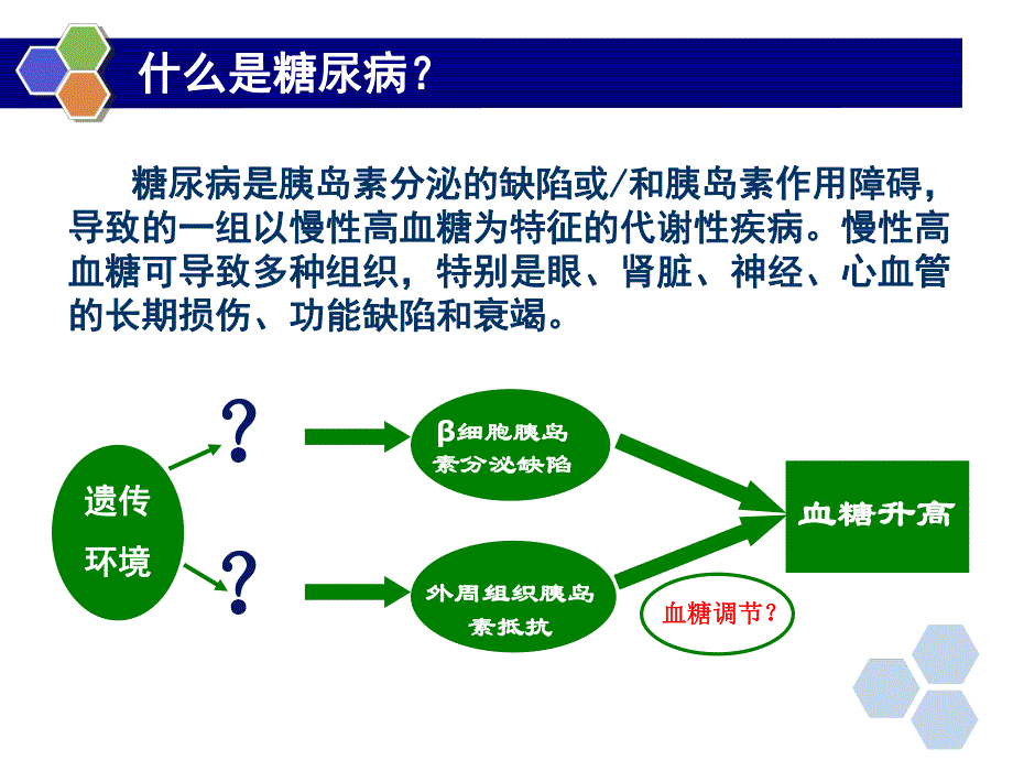 糖尿病之药物治疗.ppt_第2页