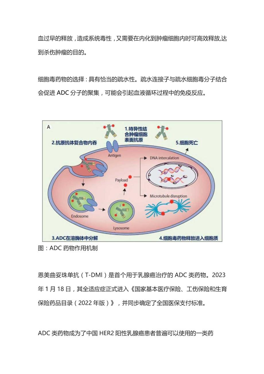 2023乳腺癌 ADC 类药物盘点.docx_第2页