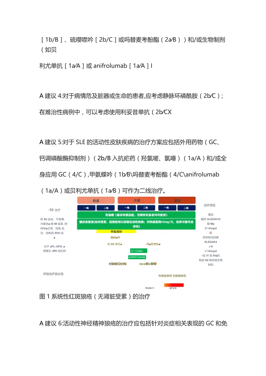 2023版EULAR狼疮管理建议要点（附流程图）.docx_第3页