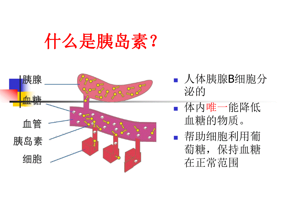 糖尿病病人的胰岛素治疗.ppt_第2页