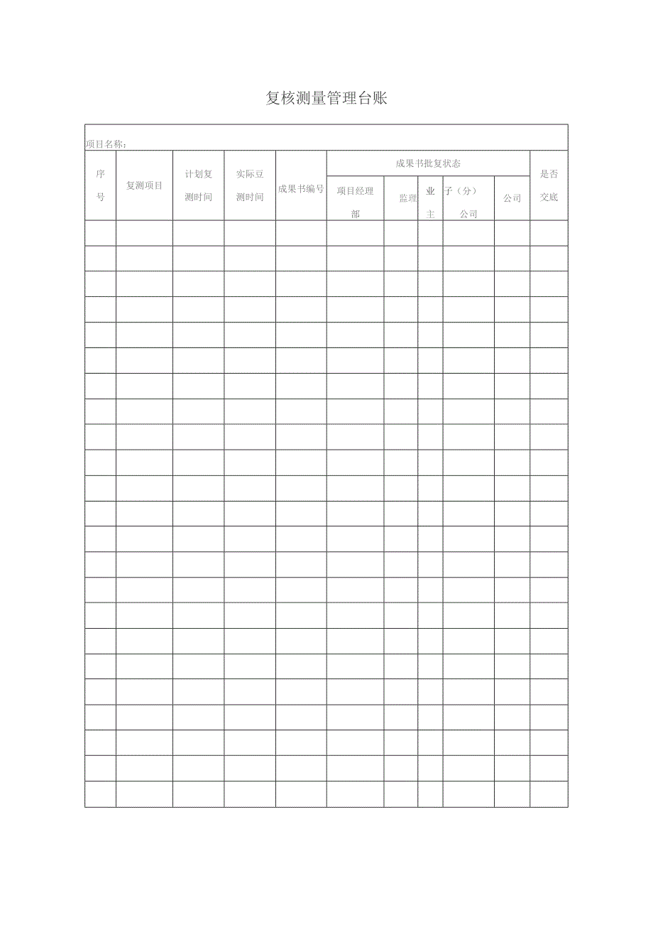复核测量管理台账.docx_第1页
