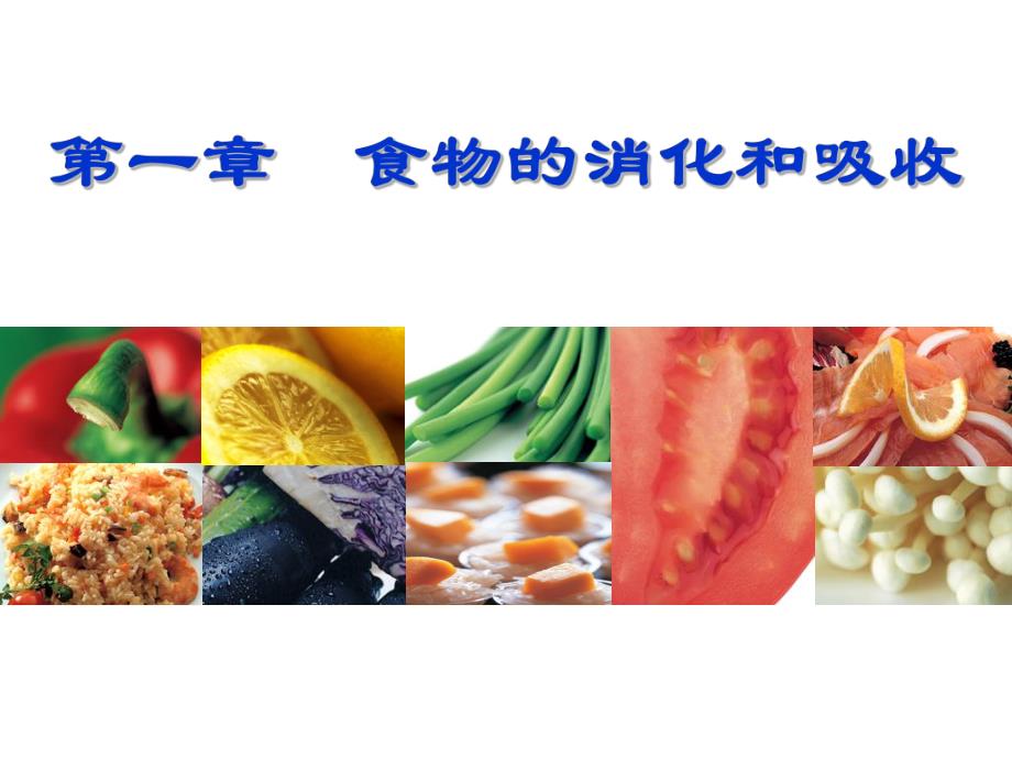 食品营养学第1章食物的消化和吸收.ppt_第3页