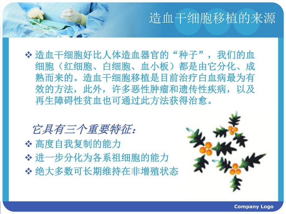 造血干细胞移植护.ppt_第2页