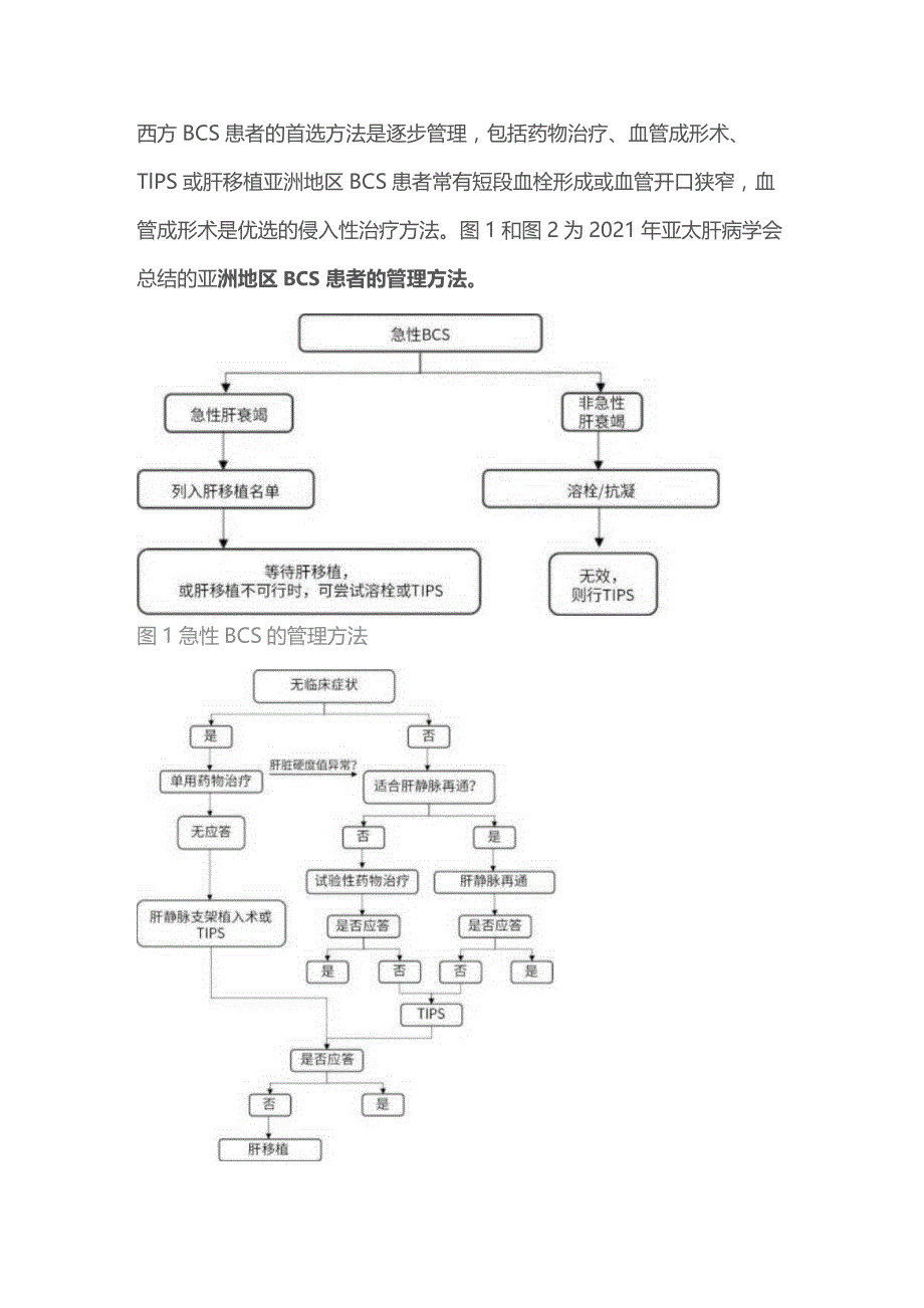 2023罕见肝病——布加综合征.docx_第3页