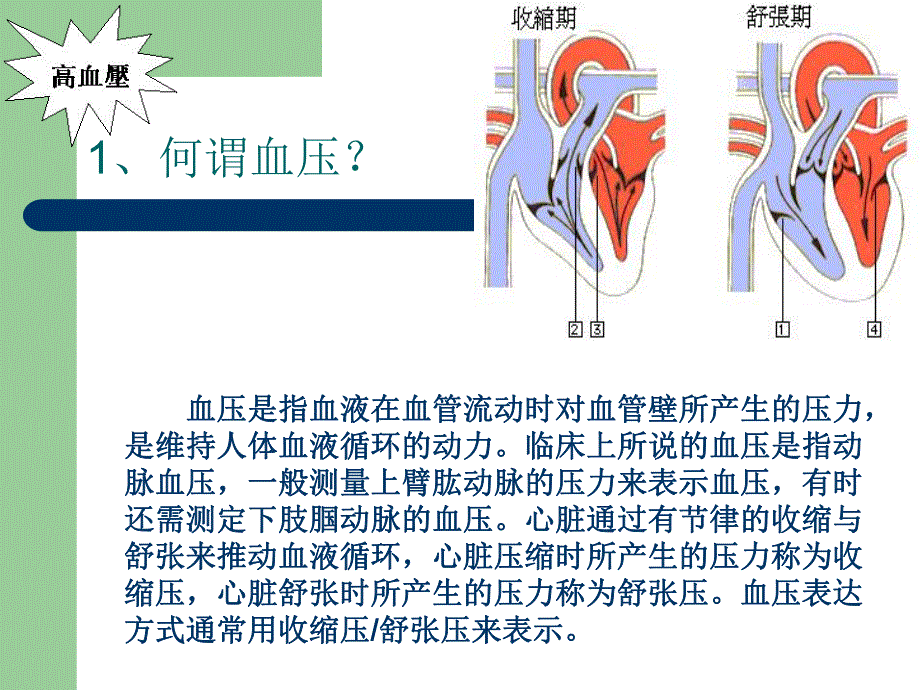 高血压保健知识讲座[1].ppt_第2页