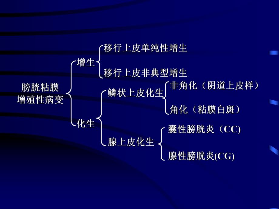 腺性膀胱炎.ppt_第2页