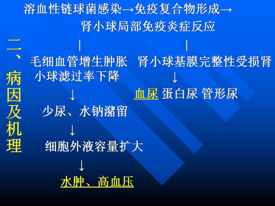 第二节急性肾小球肾炎PPT.ppt_第3页