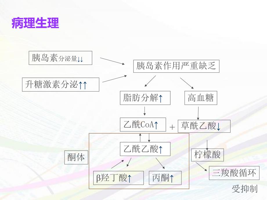 糖尿病酮症酸中毒1.ppt_第3页