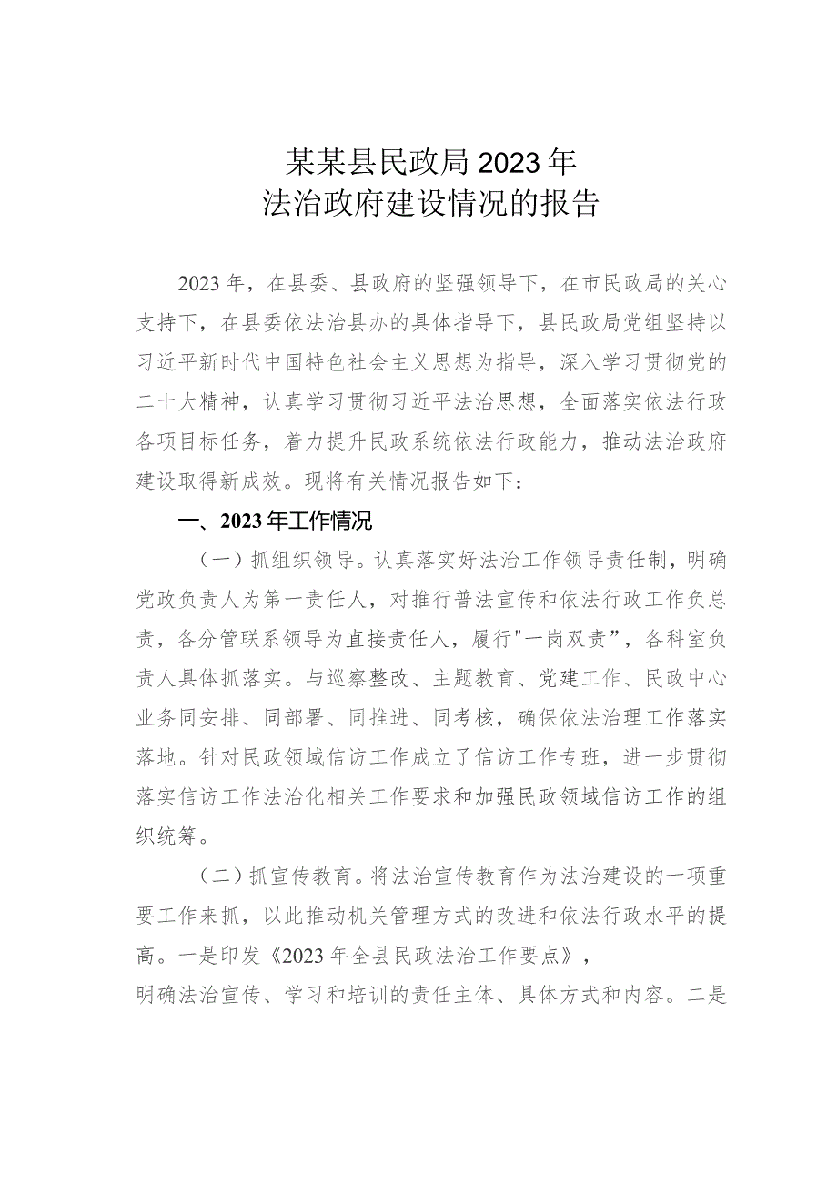 某某县民政局2023年法治政府建设情况的报告.docx_第1页