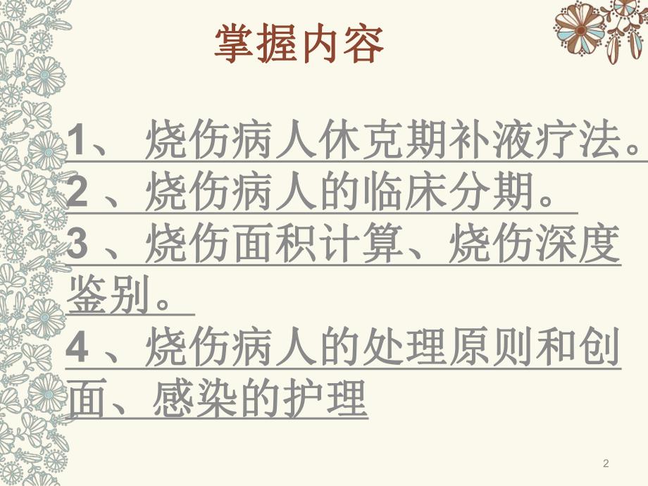 小儿烧伤护理.ppt_第2页