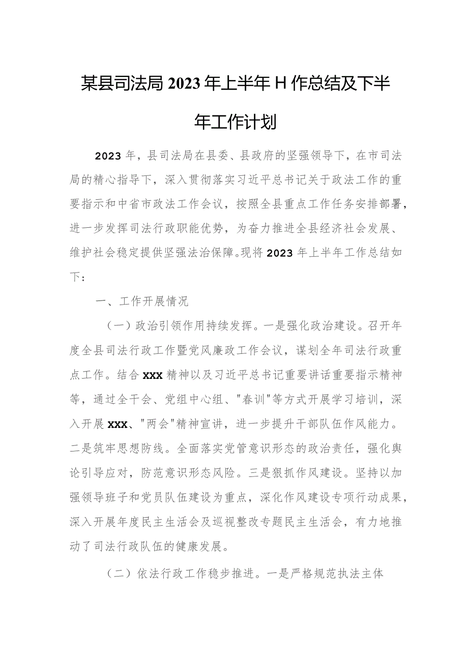 某县司法局2023年上半年工作总结及下半年工作计划.docx_第1页