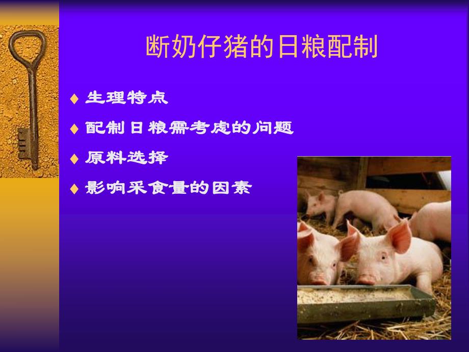 生长猪的营养需要.ppt_第3页