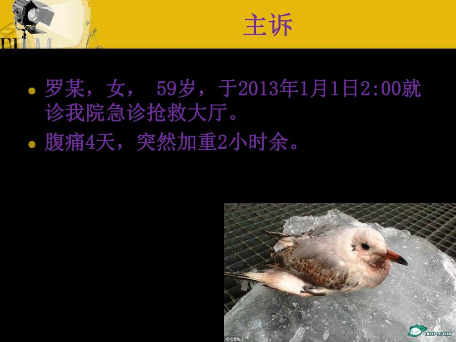 感染性休克的诊断和治疗.ppt_第3页