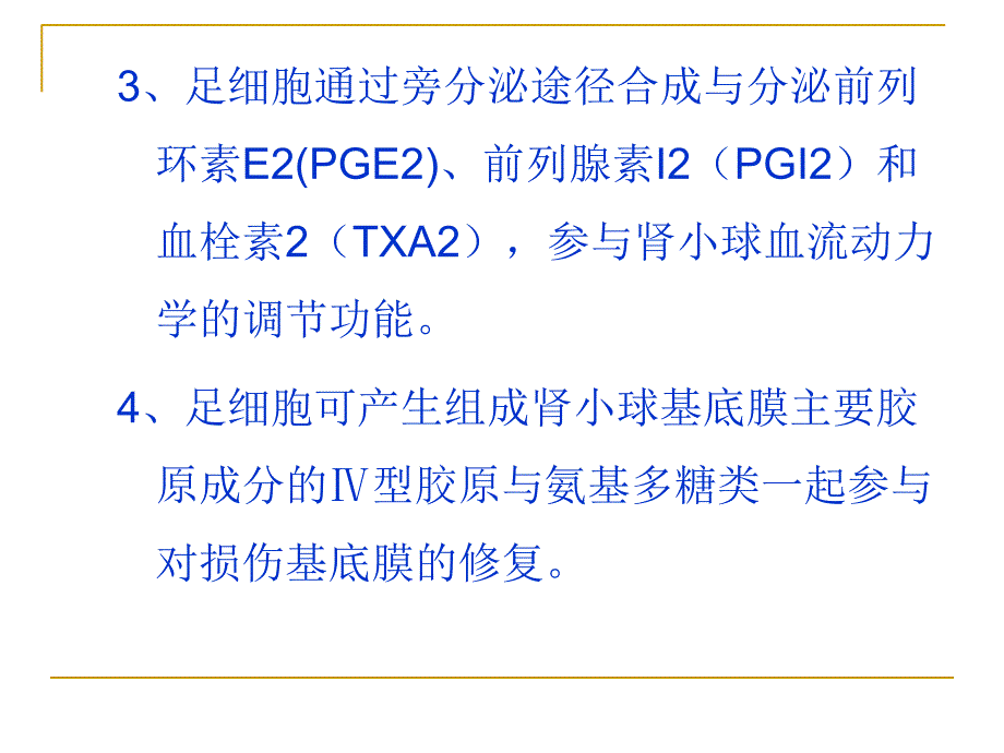 肾小球足细胞病发病机制.ppt_第3页