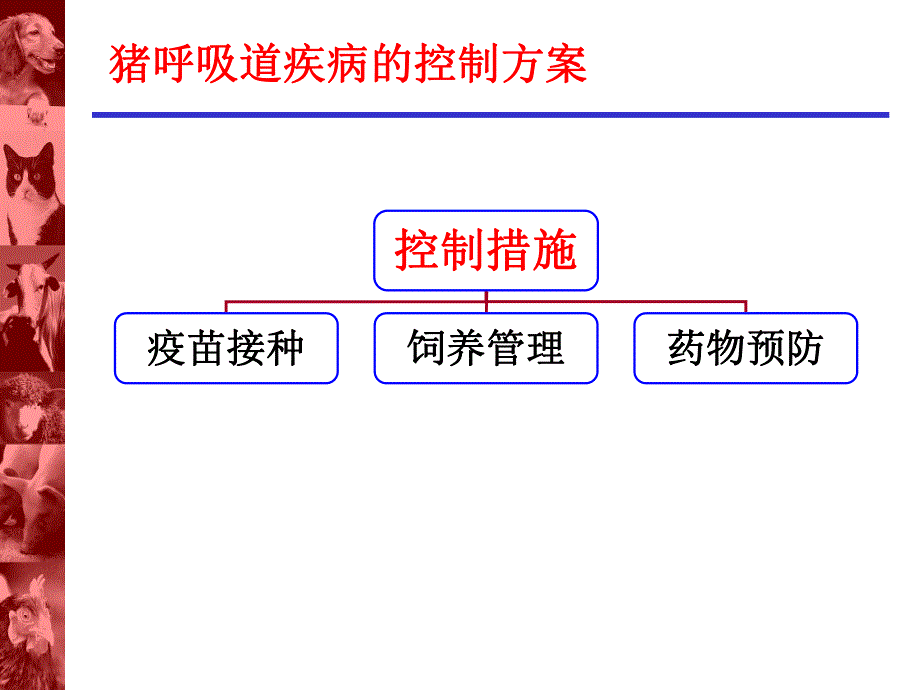 呼吸道疾病的发生和综合控制措施.ppt_第1页