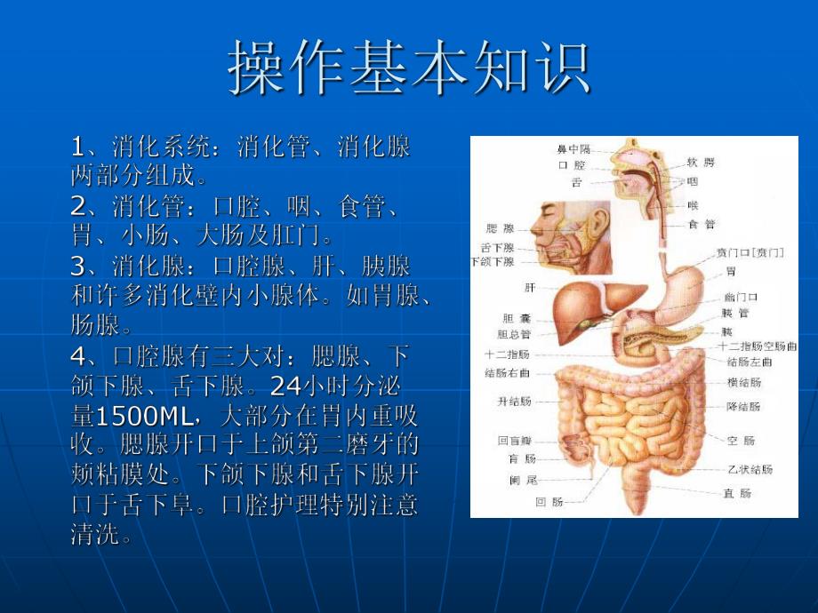 鼻饲法及胃肠减压技术.ppt_第3页