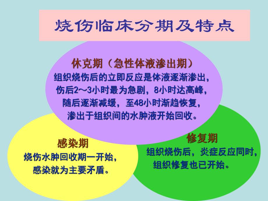 烧伤休克期的护理.ppt.ppt_第3页