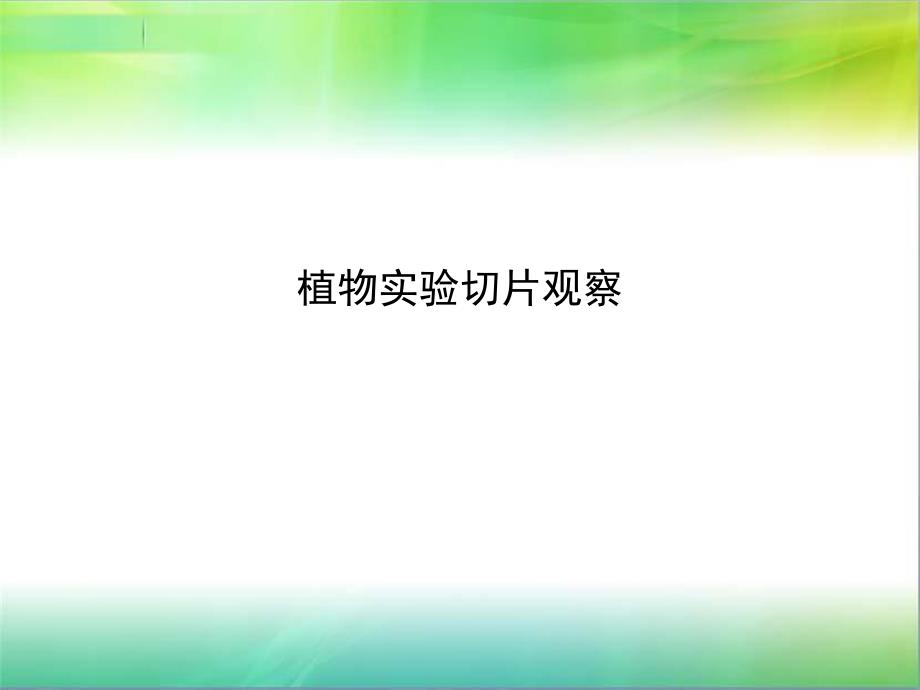 植物实验切片观察ppt.ppt_第1页