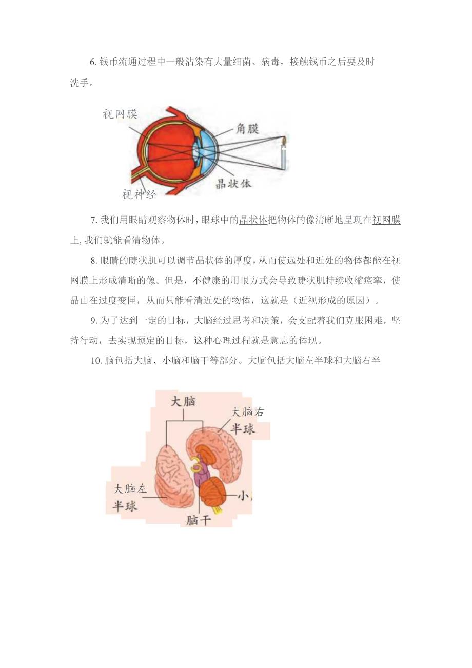 大象版科学五年级上册科学知识点汇总.docx_第3页