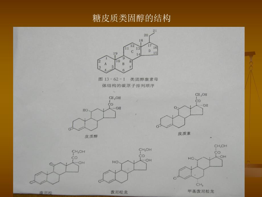 [精华]糖皮质激素在皮肤科的应用.ppt_第3页