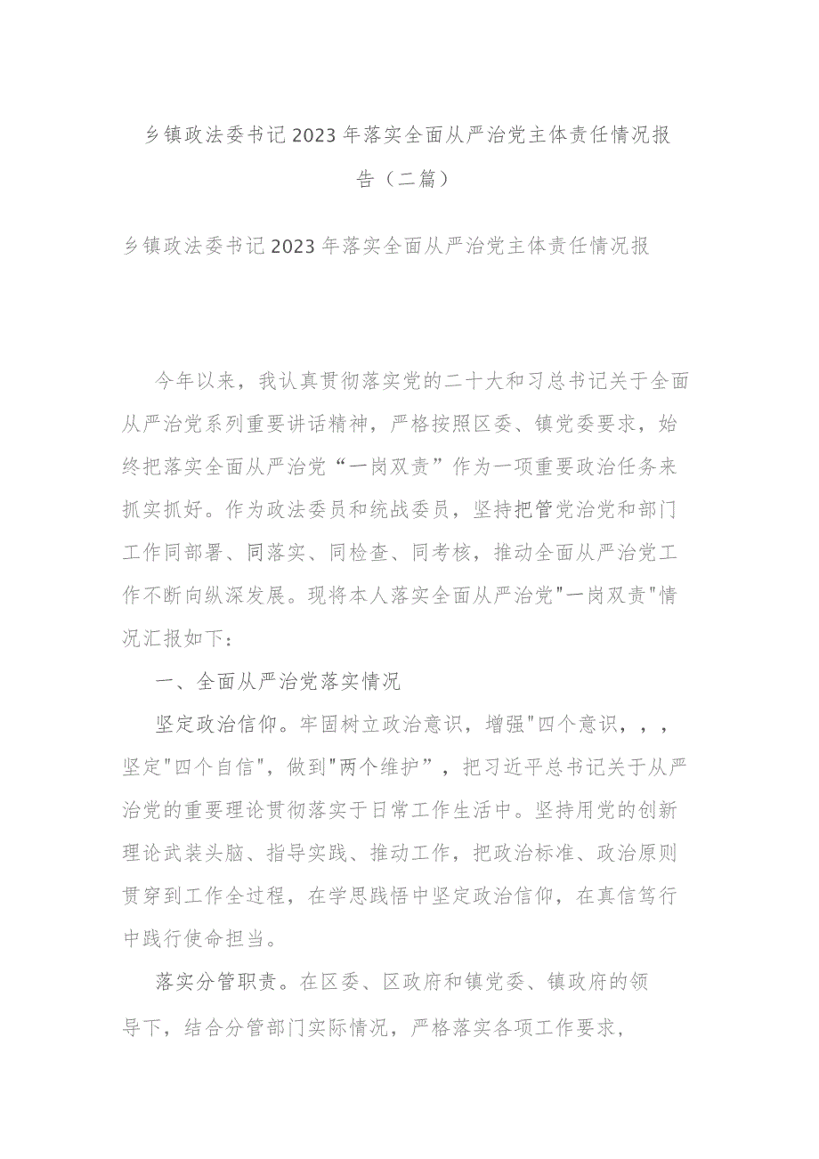 乡镇政法委书记2023年落实全面从严治党主体责任情况报告(二篇).docx_第1页