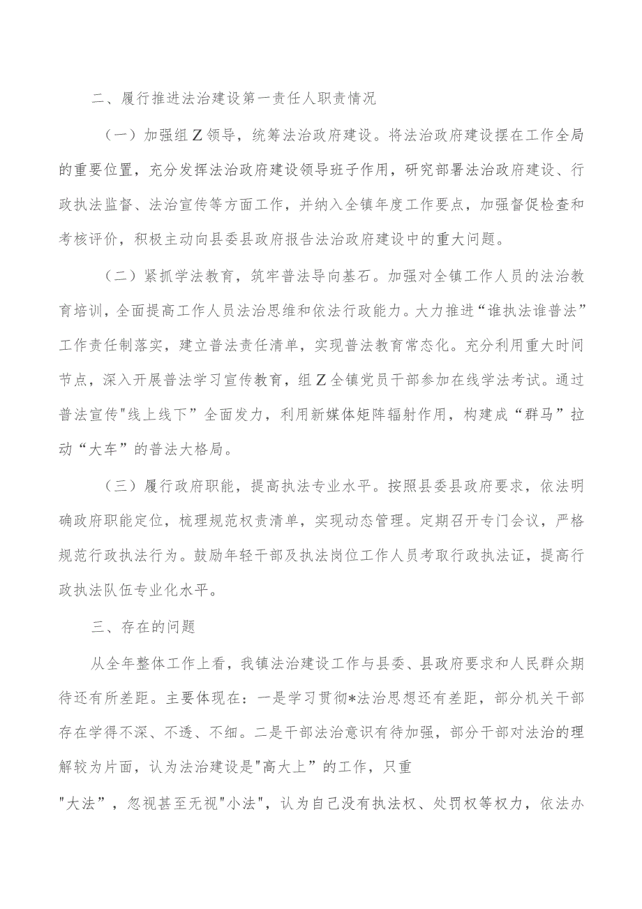 镇长2023年述法总结.docx_第2页