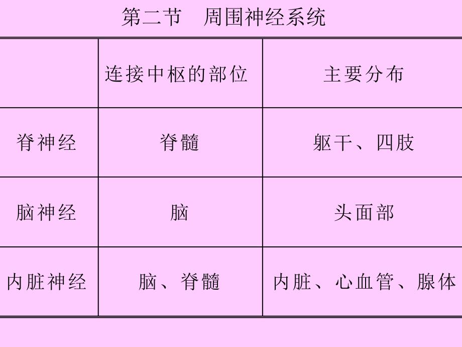 脊神经ppt演示文稿.ppt_第2页