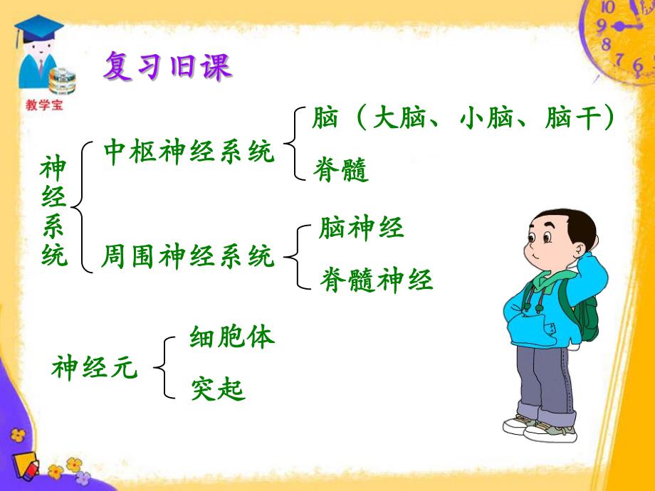 第三节神经调节的基本方式.ppt_第2页