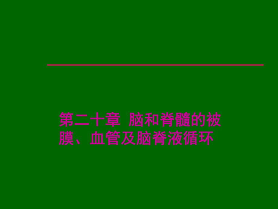 脑膜血管.ppt_第1页