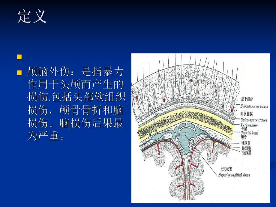 颅脑外伤的病情观察和护理【PPT】 .ppt_第2页