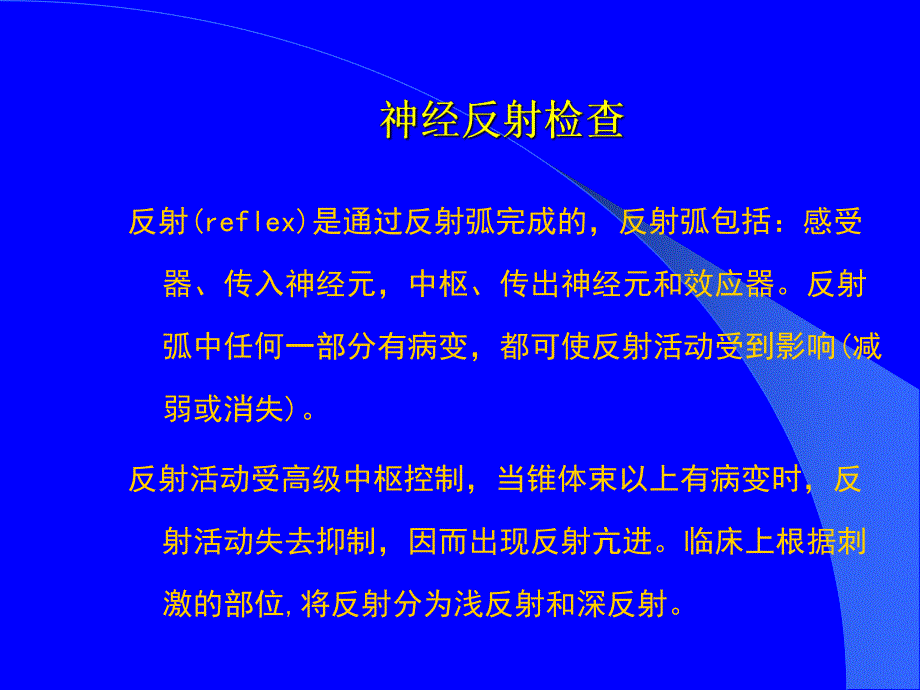 神经反射检查.ppt_第2页