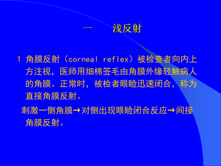 神经反射检查.ppt_第3页